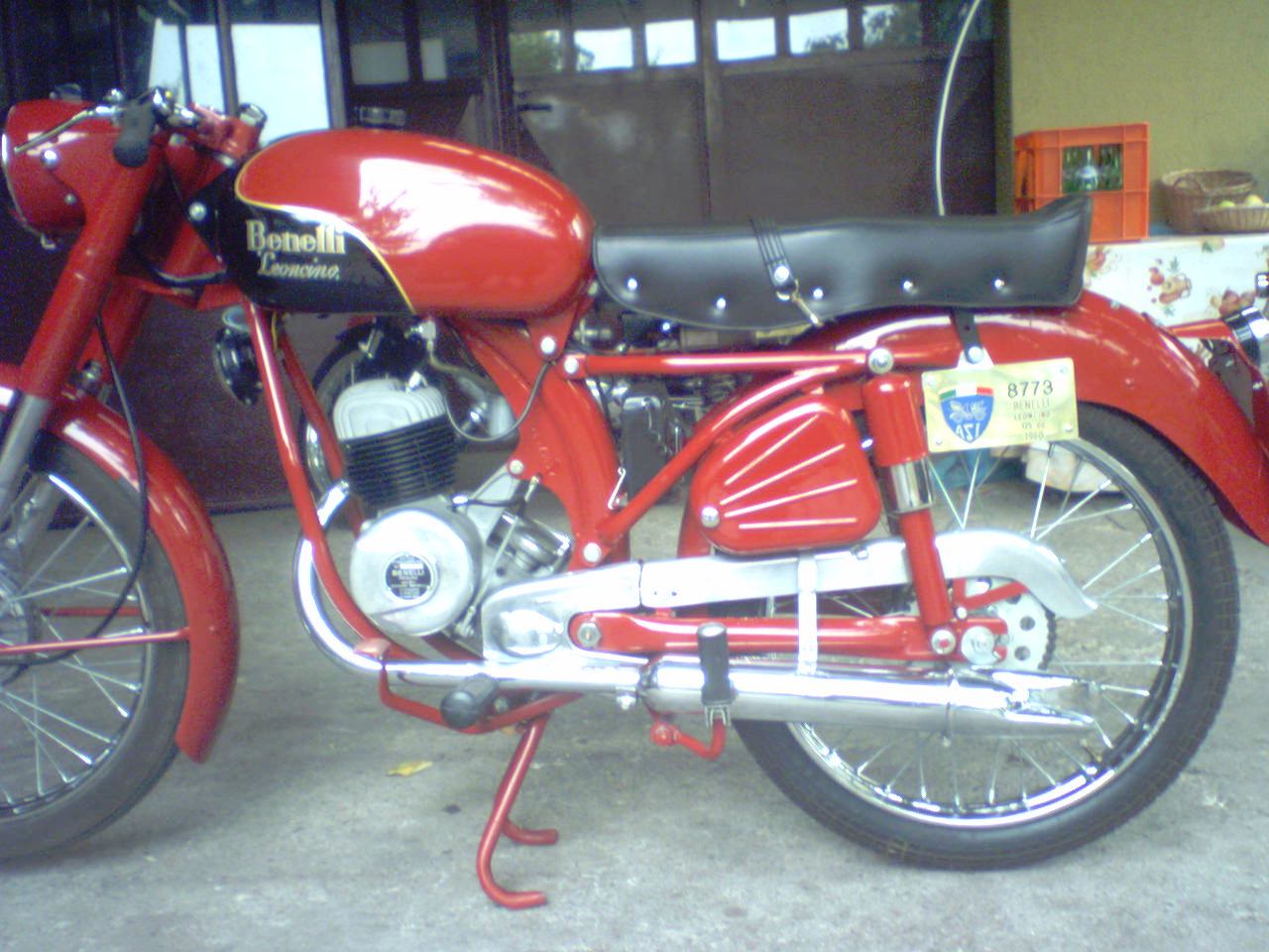 benelli leoncino